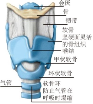 圖片2.png