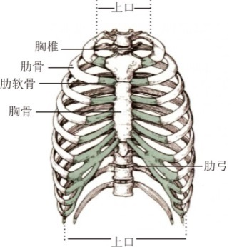 圖片4.png