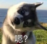 北京有私人保鏢培訓機構嗎？