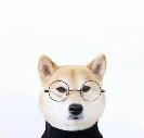 保鏢會拼死保護雇主嗎？