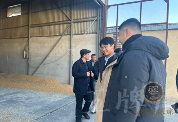 雇傭專業保鏢需要多少錢？